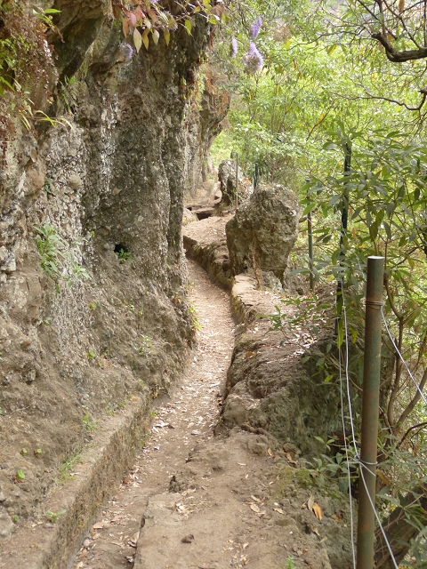 Levada do Bom Sucesso — Bilder: Zustand 2013 — Foto 13