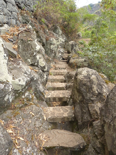 Levada do Bom Sucesso — Bilder: Zustand 2013 — Foto 14