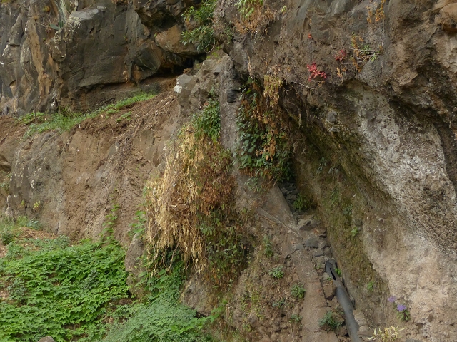 Levada do Bom Sucesso — Bilder: Zustand 2013 — Foto 15