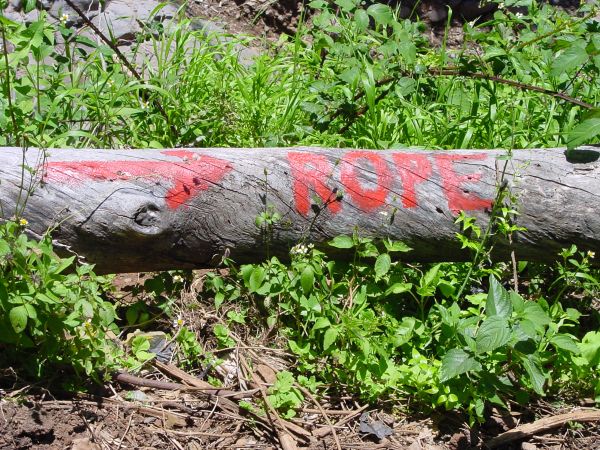 Levada do Bom Sucesso — Bilder: Zustand 2011 — Foto 7