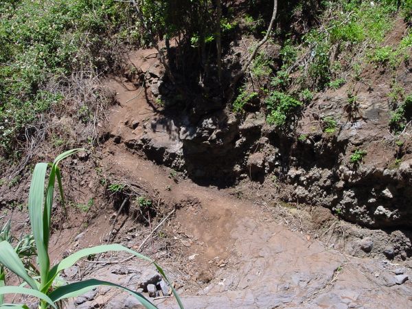 Levada do Bom Sucesso — Bilder: Zustand 2011 — Foto 8