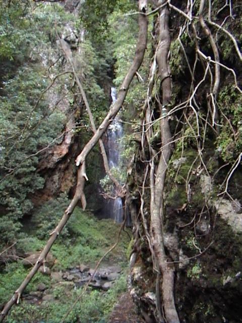 Levada do Bom Sucesso — Bilder: Zustand 2011 — Foto 9