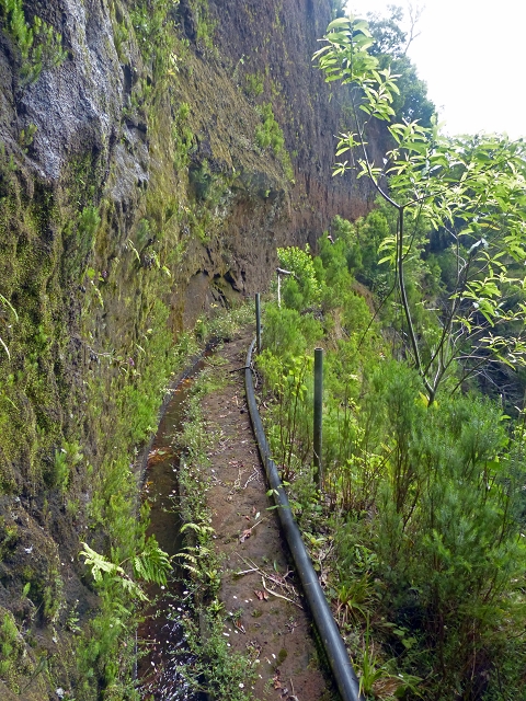 Levada do Brasileiro — Niveau 2 — Foto 6