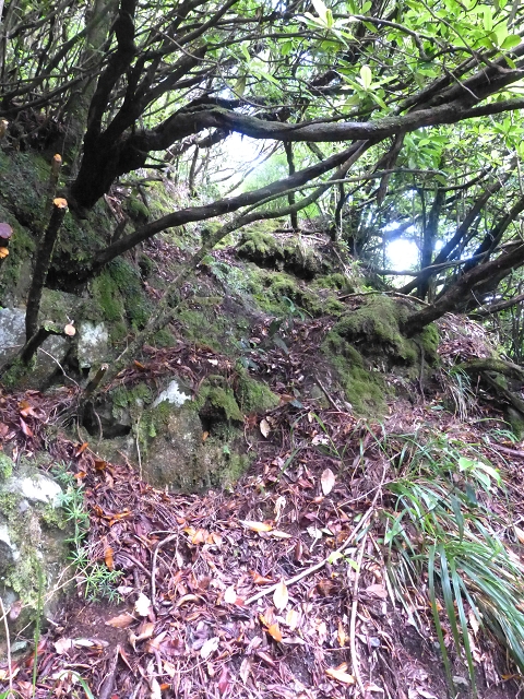 Levada do Brasileiro — Niveau 2 — Foto 7
