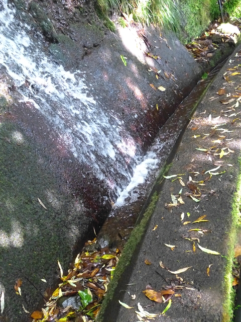 Levada do Brasileiro — Niveau 3 — Foto 2