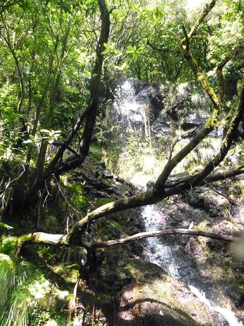 Levada do Brasileiro — Niveau 3 — Foto 1