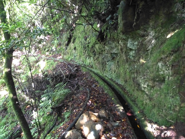 Levada do Brasileiro — Niveau 3 — Foto 4