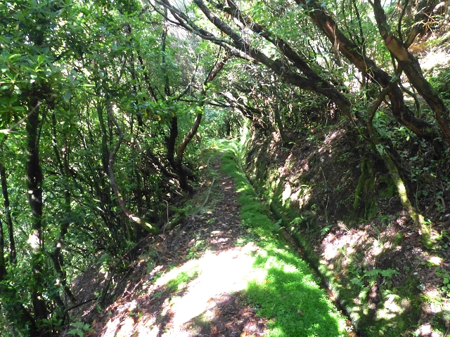 Levada do Brasileiro — Niveau 3 — Foto 7