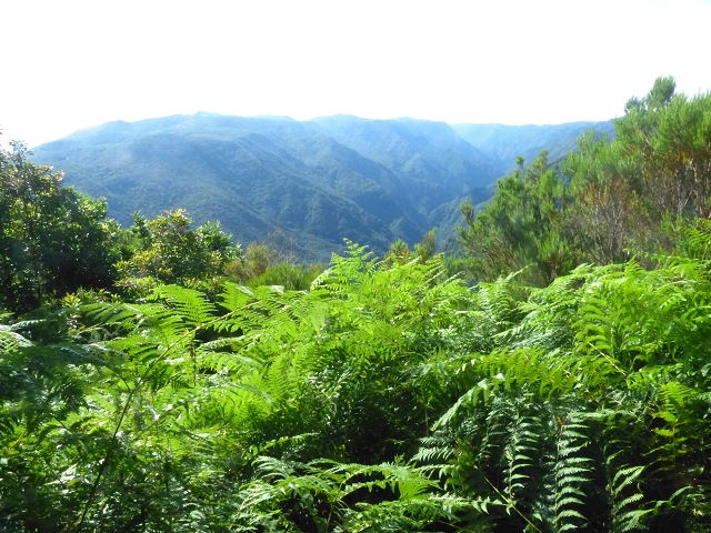 Levada do Brasileiro — Niveau 3 — Foto 9
