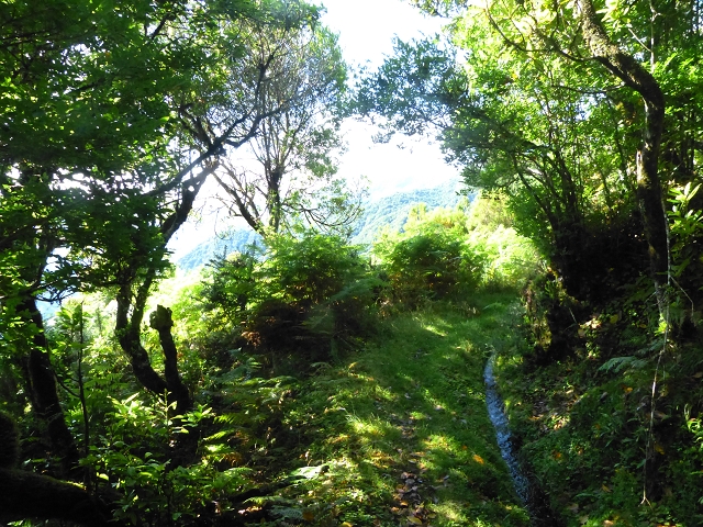 Levada do Brasileiro — Niveau 3 — Foto 8