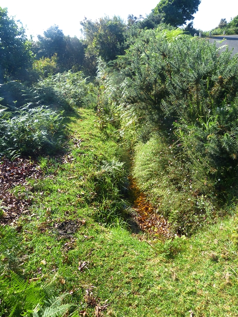 Levada do Brasileiro — Niveau 3 — Foto 10