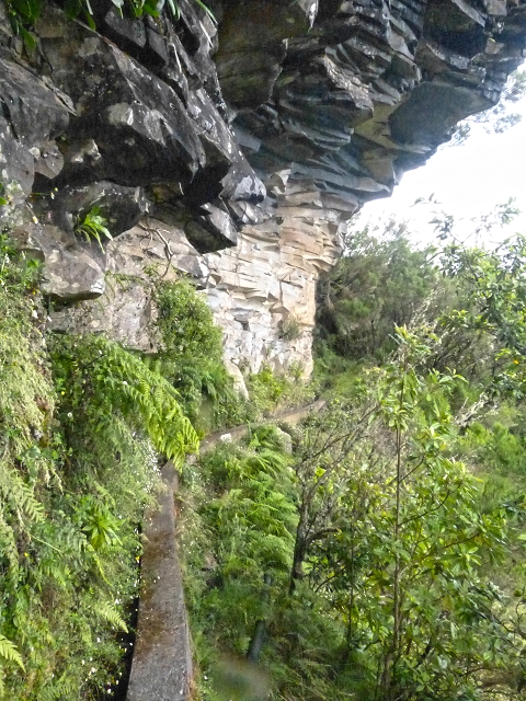 Levada do Brasileiro — Madre und Niveau 1 — Foto 2