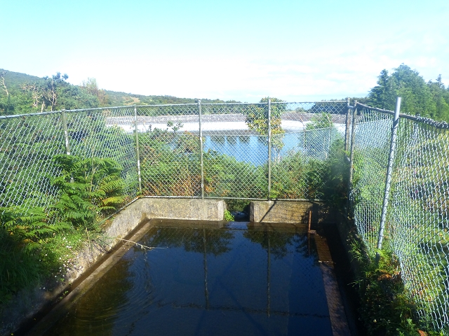 Levada do Brasileiro — Kreuzung mit der ER105 und Zufluss zur Lagoa do Bardo — Foto 6