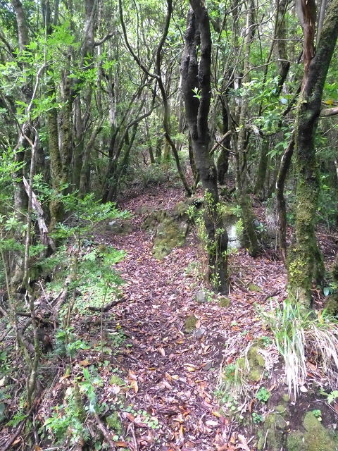Levada do Brasileiro — Niveau 2 — Foto 1