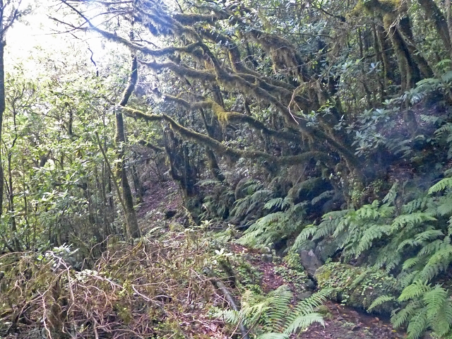 Levada do Brasileiro — Niveau 2 — Foto 2