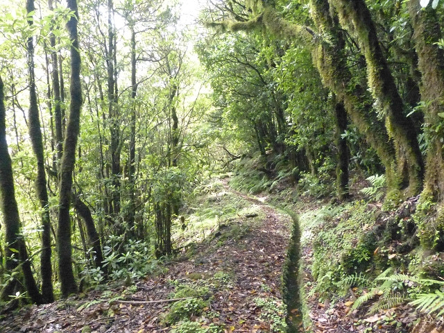 Levada do Brasileiro — Niveau 2 — Foto 5
