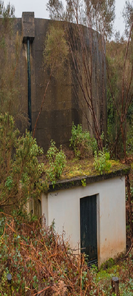 Levada do Brasileiro — Zwischen Lagoa do Bardo und der ER105 — Foto 11