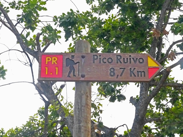 Levada do Caldeirao Verde inferior — Fotos da subida desde Ilha — foto 1