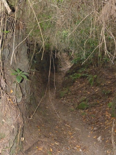 Levada do Caldeirao Verde inferior — Fotos da subida desde Ilha — foto 2
