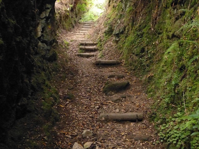 Levada do Caldeirao Verde inferior — Fotos da subida desde Ilha — foto 5