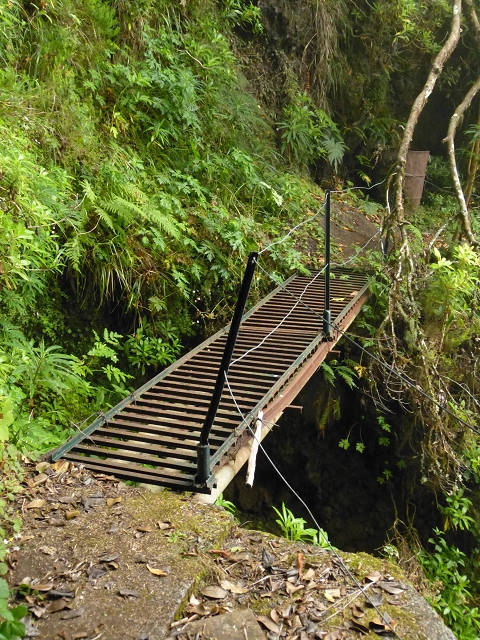 Levada do Caldeirao Verde superior — Foto 6