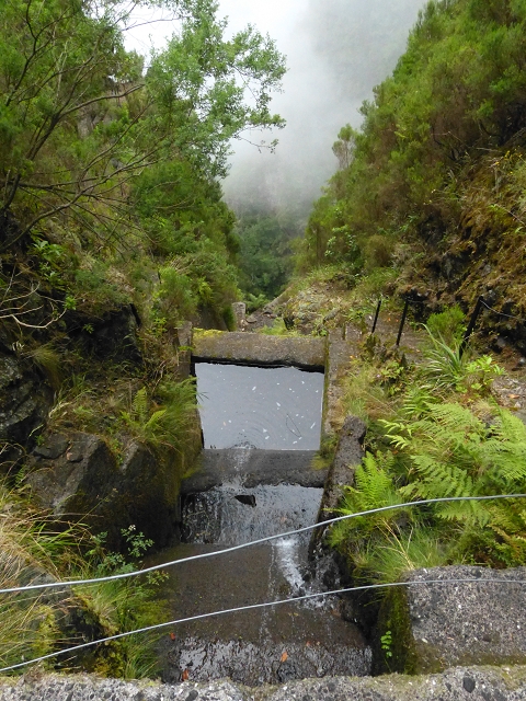 Levada do Caldeirao Verde superior — Foto 8