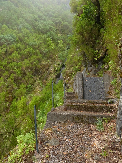 Levada do Caldeirao Verde superior — Foto 10