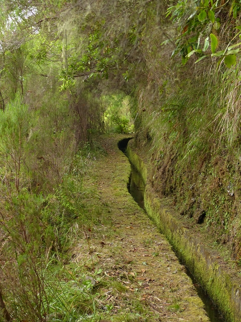 Levada do Caldeirao Verde superior — Foto 11