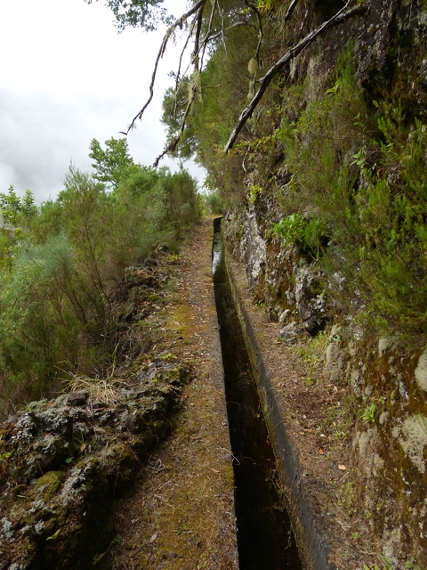 Levada do Caldeirao Verde superior — Foto 12