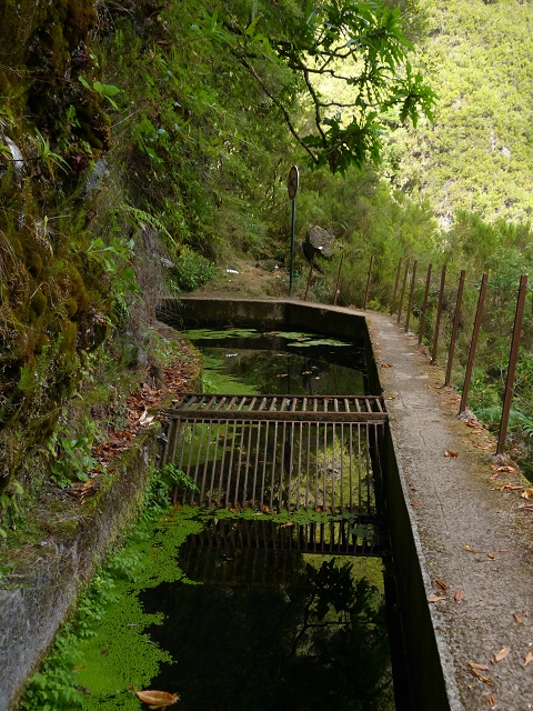 Levada do Caldeirao Verde superior — Foto 13