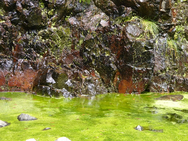 Levada do Caldeirao do Inferno — foto 2