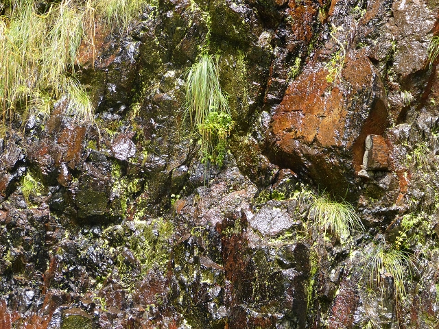 Levada do Caldeirao do Inferno — foto 3