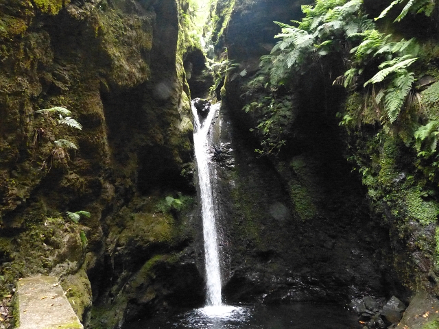 Levada do Caldeirao do Inferno — foto 5