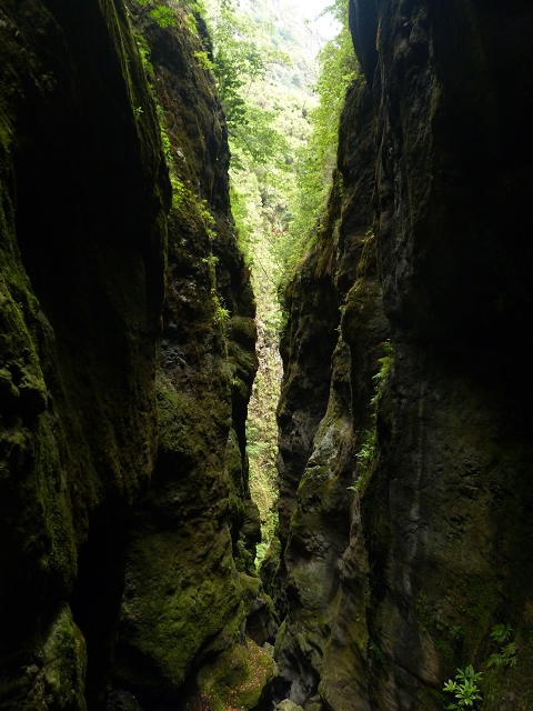 Levada do Caldeirao do Inferno — foto 6