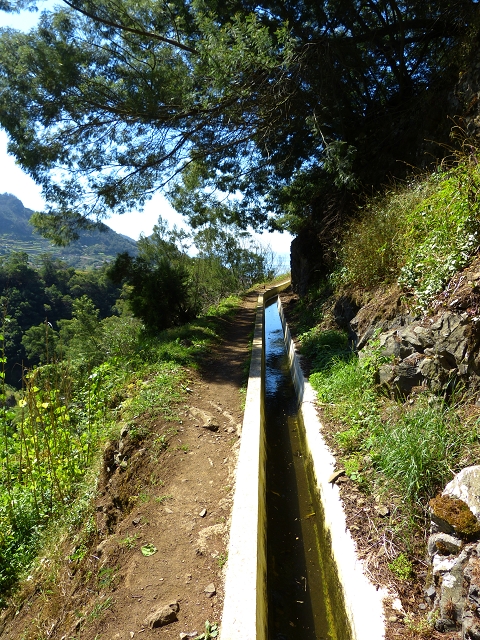 Levada do Canical — Foto 10