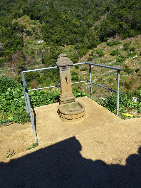 Levada do Canical — Foto 12