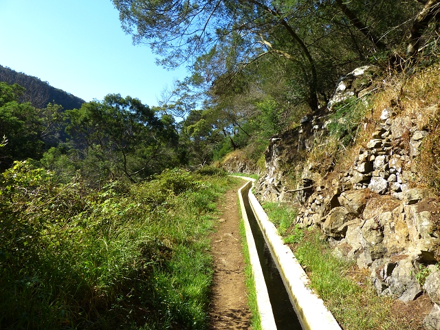 Levada do Canical — Foto 14