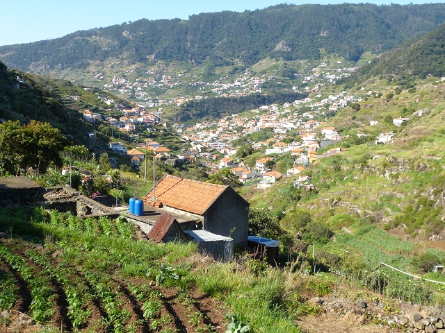 Levada do Canical — Foto 15