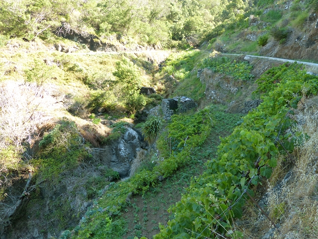 Levada do Canical — Foto 17