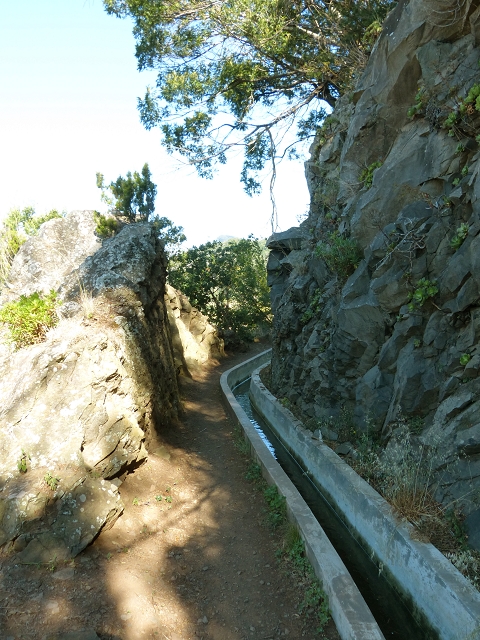 Levada do Canical — Foto 20