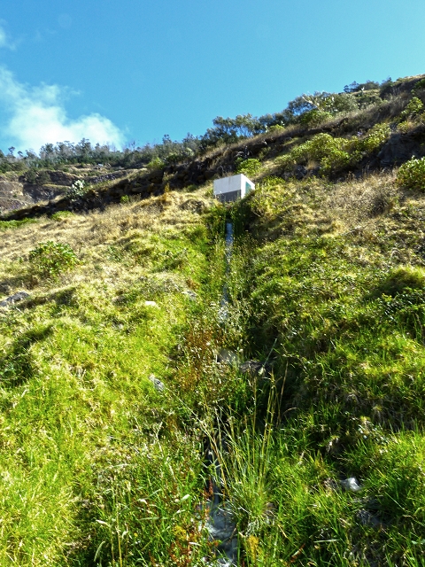 Levada do Canical — Foto 23
