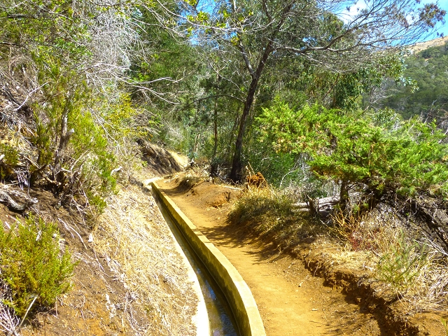 Levada do Canical — Foto 27