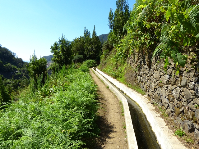 Levada do Canical — Foto 8