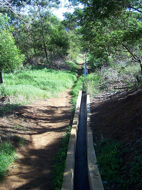 Levada do Canical — Foto 30