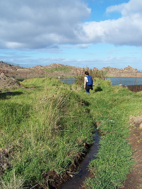 Levada do Canical — Foto 42