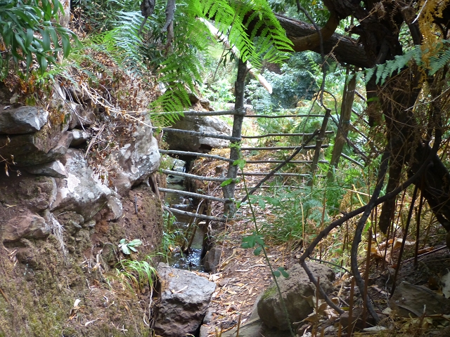 Levada do Caniço (de Baixo) — Beschreibung — Foto 10