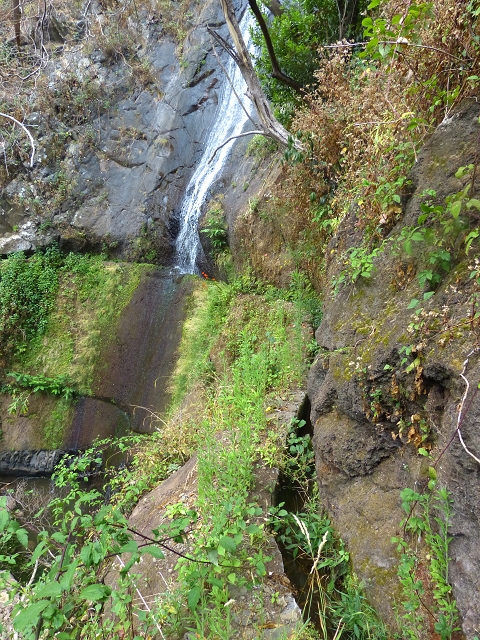 Levada do Caniço (de Baixo) — Beschreibung — Foto 11