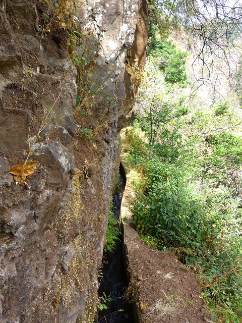Levada do Caniço (de Baixo) — Beschreibung — Foto 13