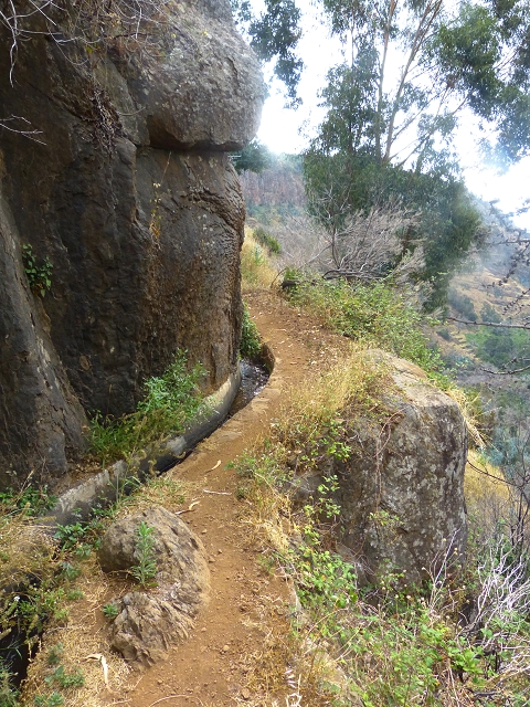 Levada do Caniço (de Baixo) — Beschreibung — Foto 16