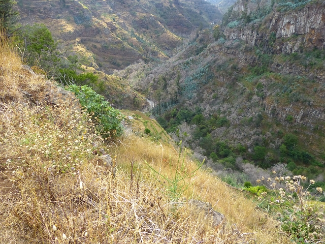 Levada do Caniço (de Baixo) — Beschreibung — Foto 18